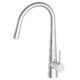 Watersino Pin Pull Down Kitchen Mixer