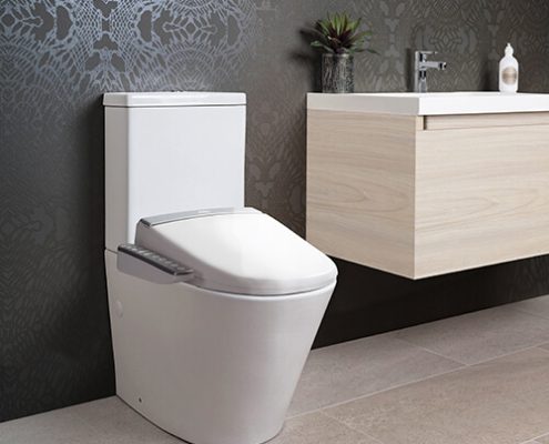 Englefield Bidet Seat