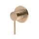 Brushed Brass (PVD)