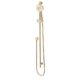 Brushed Brass