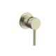 Brushed Brass