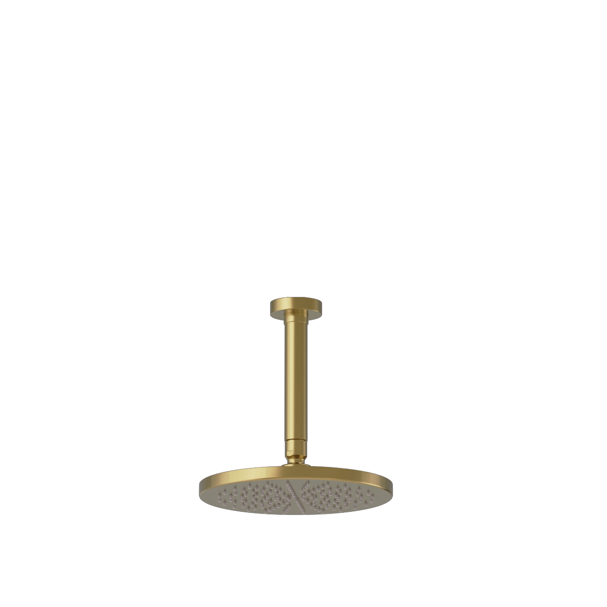 Buddy 200mm Wall Mount Rainhead